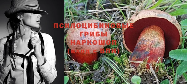 МДПВ Магадан