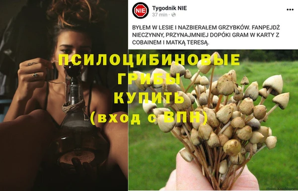 скорость mdpv Липки