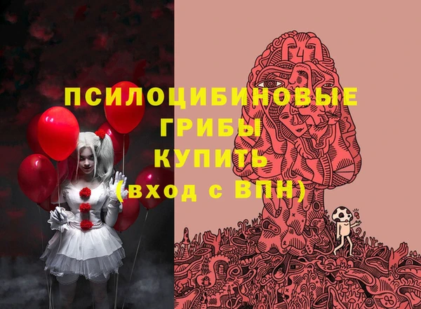 мдпв Видное